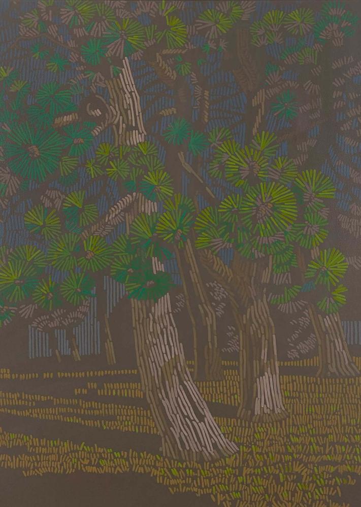 Pines in the sun 2, canvas print, 40x30 cm, 80x60cm, 100x75 cm, 120x90 cm