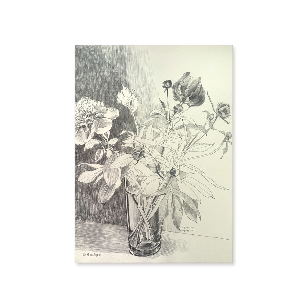 Postcard Set Floral Drawings