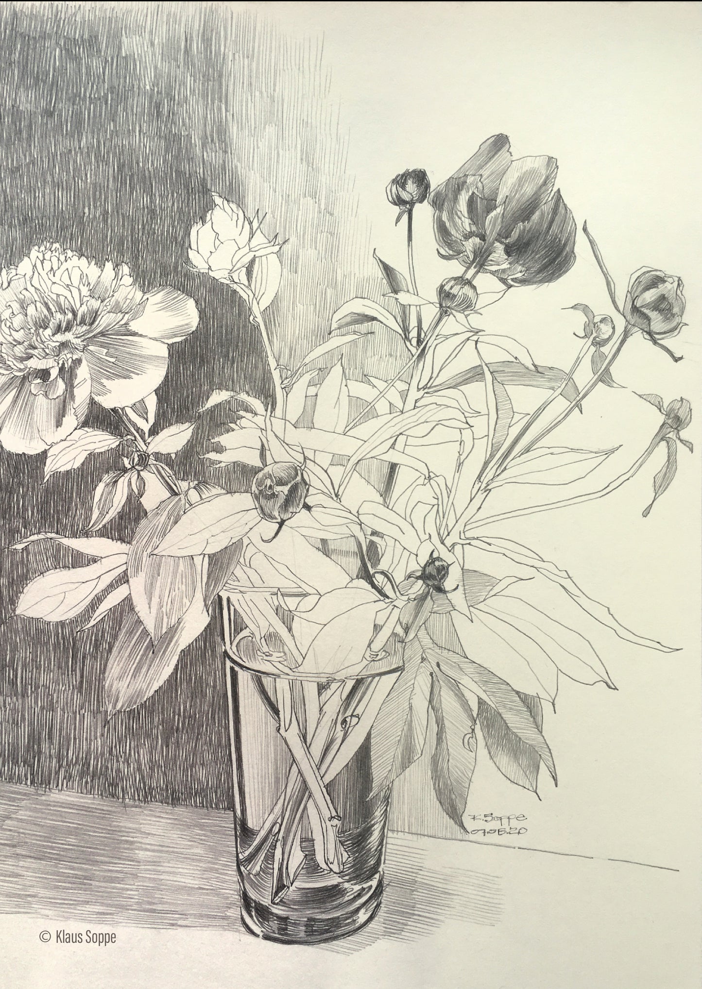 Greeting Card Floral Drawing