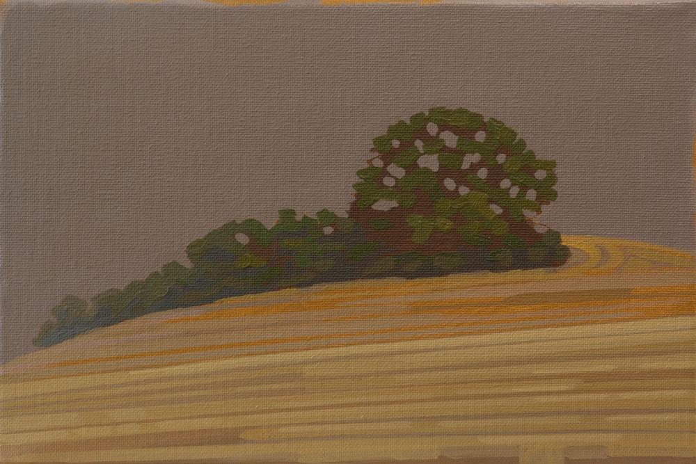 Trees and fields, canvas print, 30x20 cm, 60x40 cm