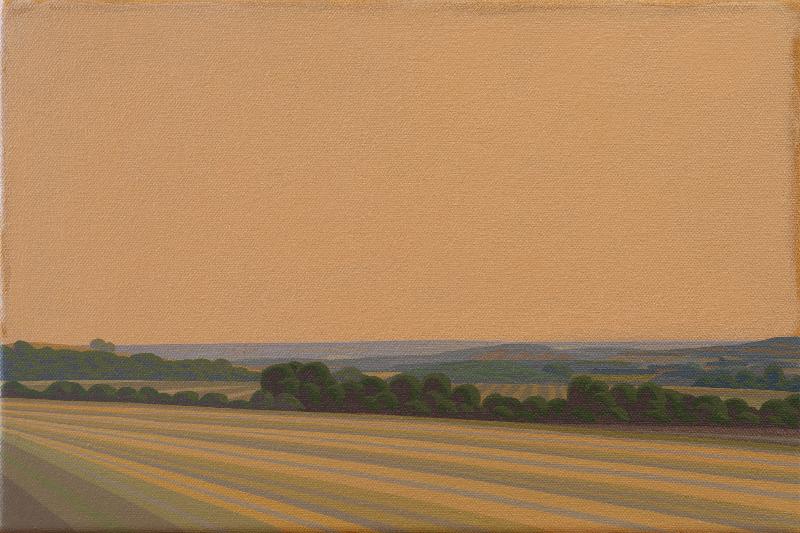 Landscape sun an fields, canvas print, 30x20 cm, 60x40 cm
