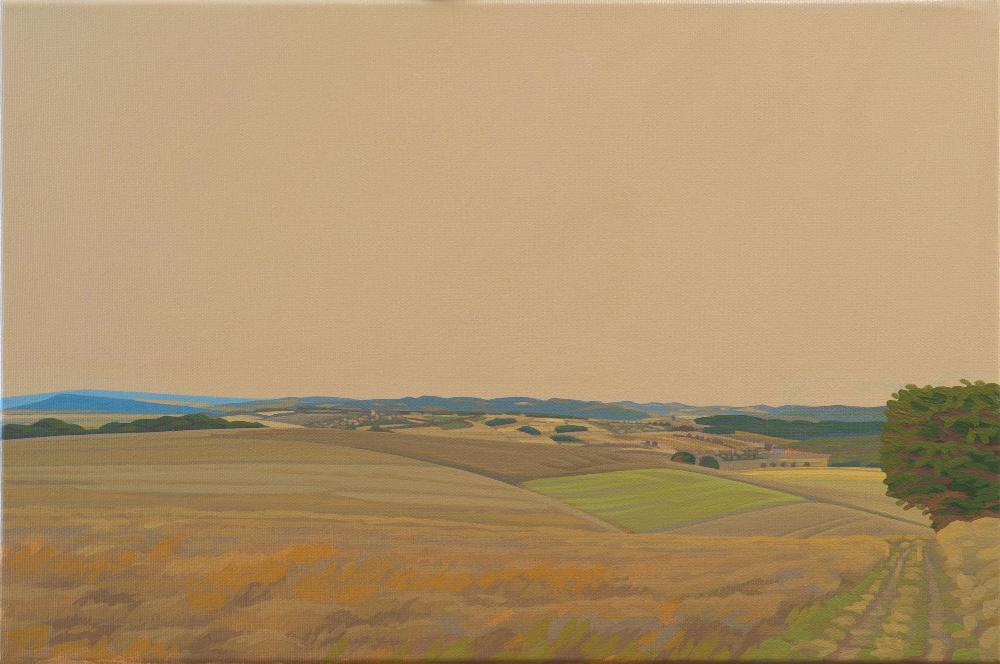 Landscape july fields, canvas print, 30x20 cm, 60x40 cm