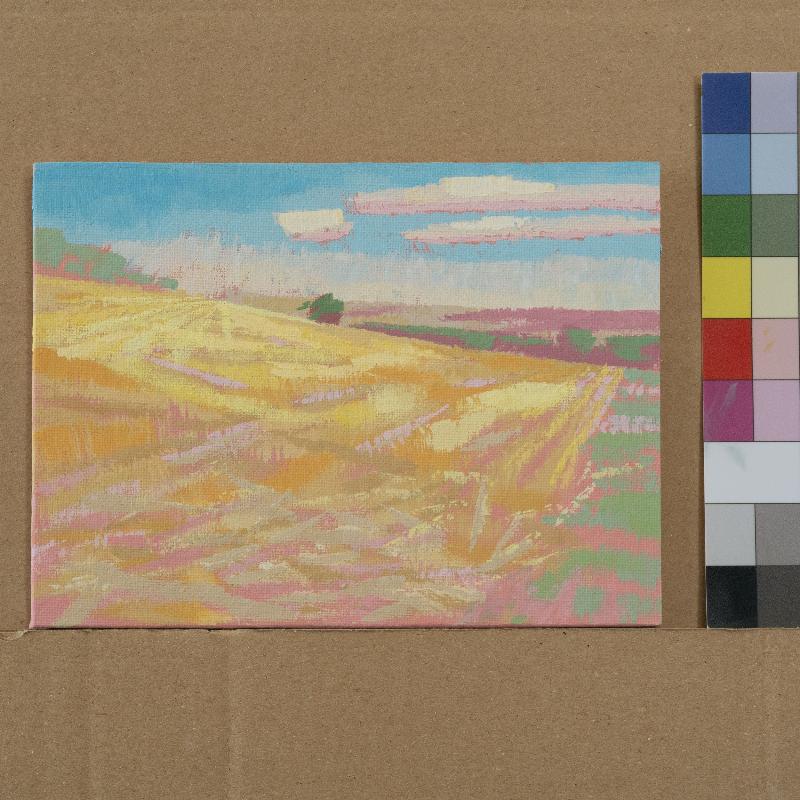 "Field experiment", unique, painting, hand-painted unique piece, 20 x 15 cm, with picture frame