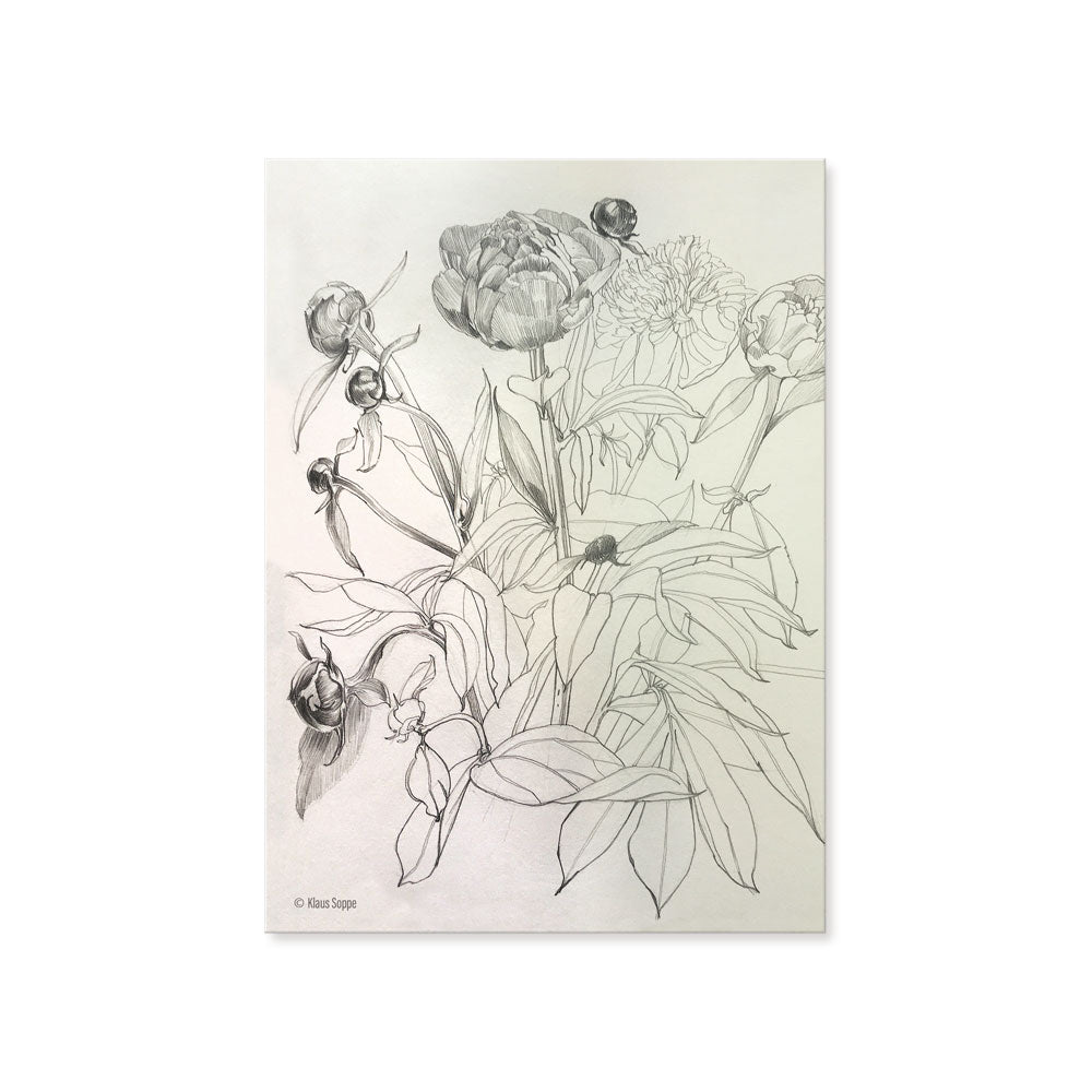 Postcard Set Floral Drawings