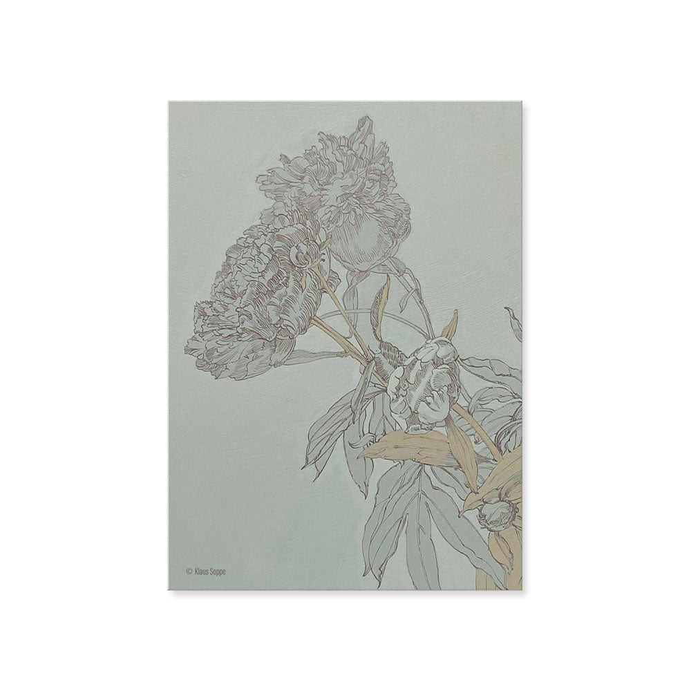 Postcard Set Floral Drawings