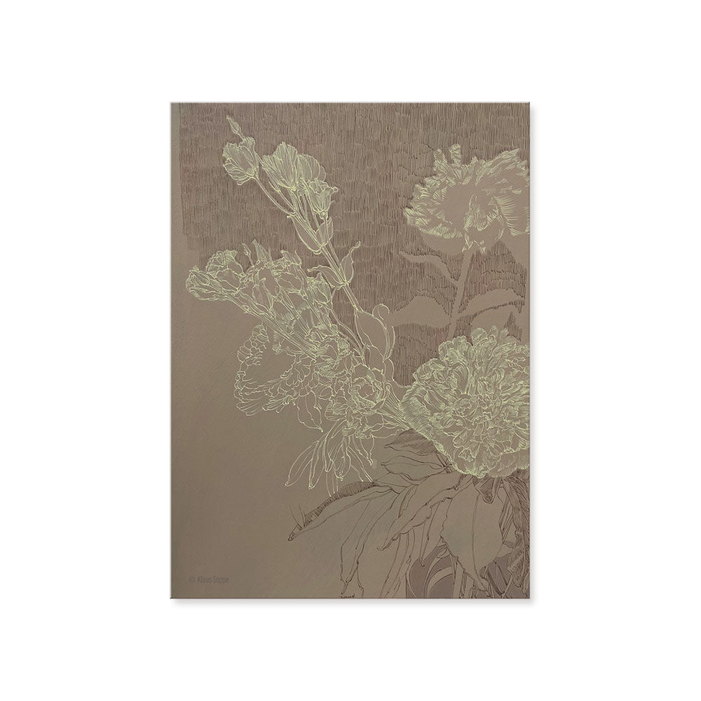Postcard Set Floral Drawings