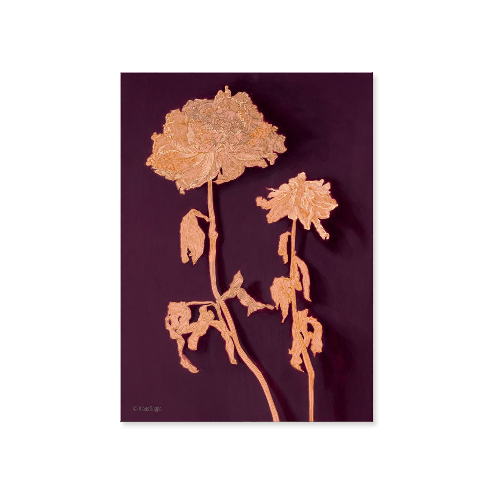 Postcard Set Floral Drawings