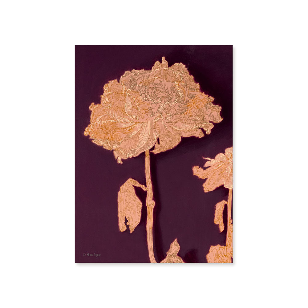 Postcard Set Floral Drawings