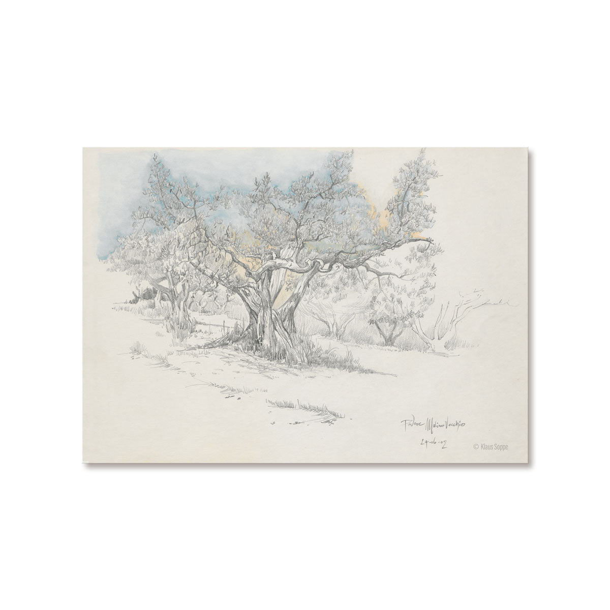 Postcard Set Landscapes Drawings
