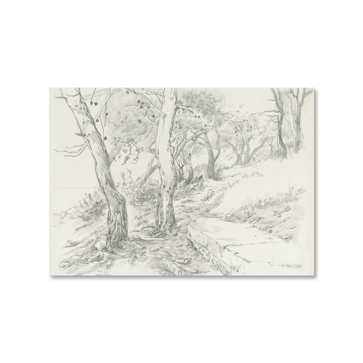 Postcard Set Landscapes Drawings