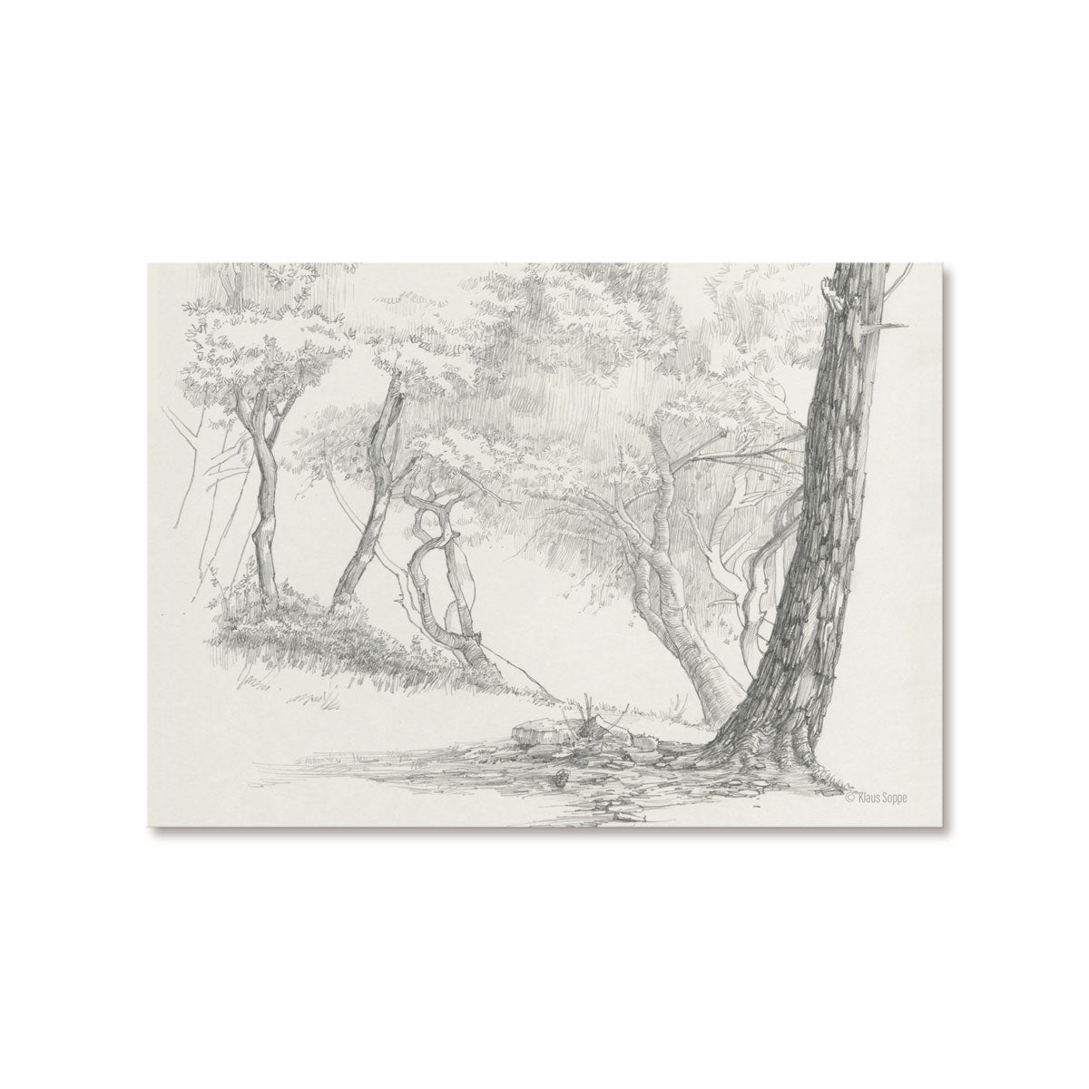 Postcard Set Landscapes Drawings