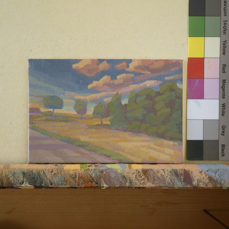 Original painting - "Summer Path" - hand painted - acrylic painting - 10x15 cm - landscape picture - unique piece - with frame