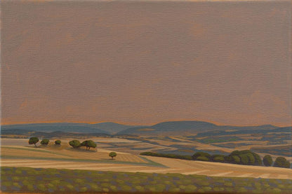 Mosaic fields, canvas print, 30x20 cm, 60x40 cm