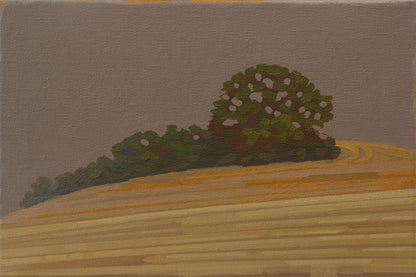 Trees and fields, canvas print, 30x20 cm, 60x40 cm