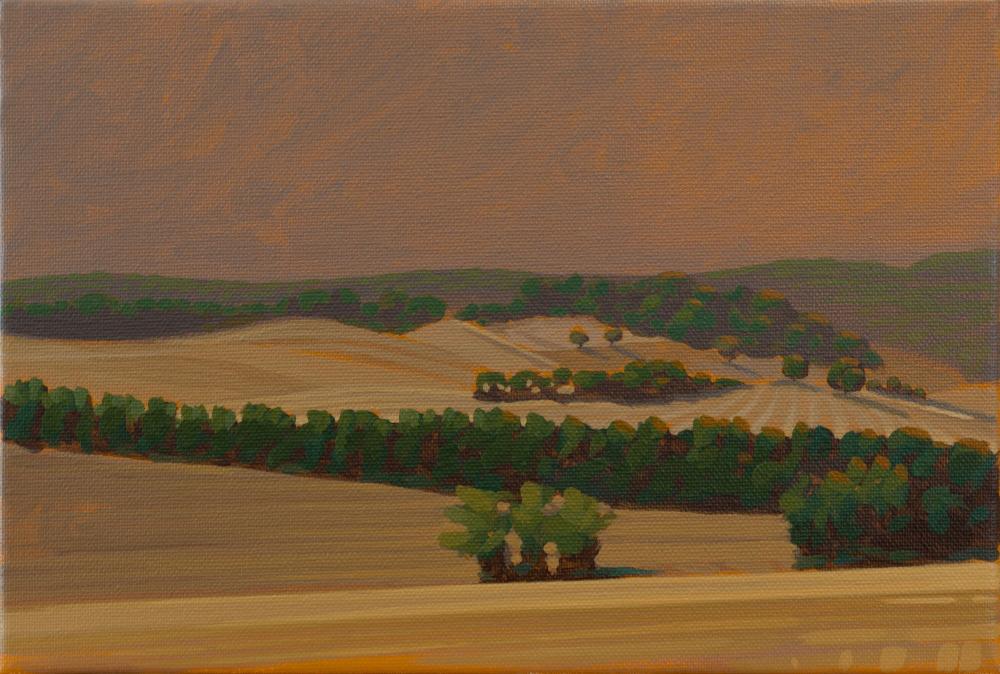 Landschaft Blick auf Felder, Leinwanddruck, 30x20 cm, 60x40 cm