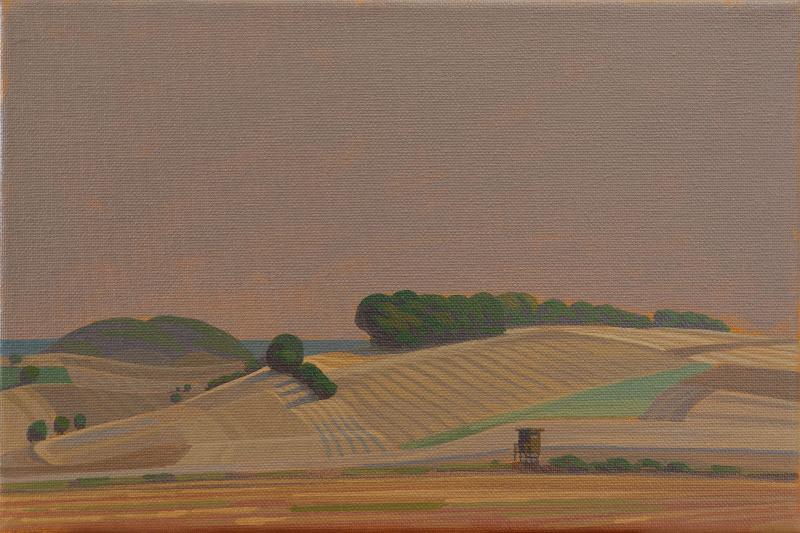 Blick vom Sichelsberg 3, Leinwanddruck, 30x20 cm, 60x40 cm
