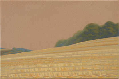 Gemähtes Feld, Leinwanddruck, 30x20 cm, 60x40 cm, Landschaft, Wandbild,