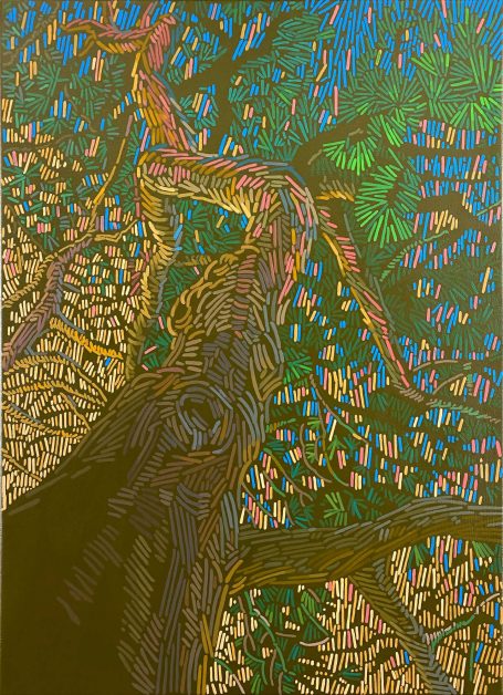 Kiefern, 70x50cm,verkauft